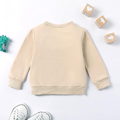 Ayalinggo Toddler Baby Boy Matching Clothes Big Bro Crewneck Sweatshirt Oversized Sweater Little Brother Fall Outfits (Beige BIG BRO, 18-24 Months) - Image 5