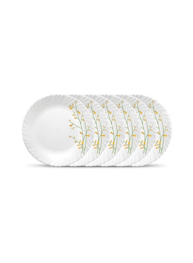 La Opala Diva Classique Collection Opal Glass Crockery | Full Plate Set of 6 | Citron Weave Design | for Dining & Gifting | Microwave Safe | 100% Vegetarian | Extra Strong | Super Light & White - Image 1
