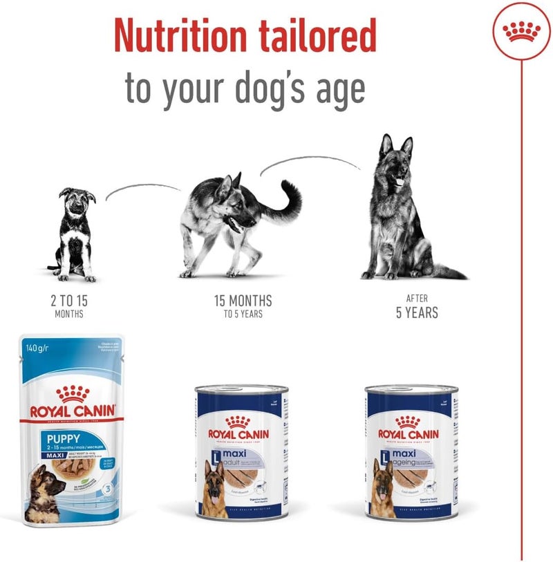 ROYAL CANIN طعام رويال كانين ماكسي للكلاب البالغة الرطب - Image 5