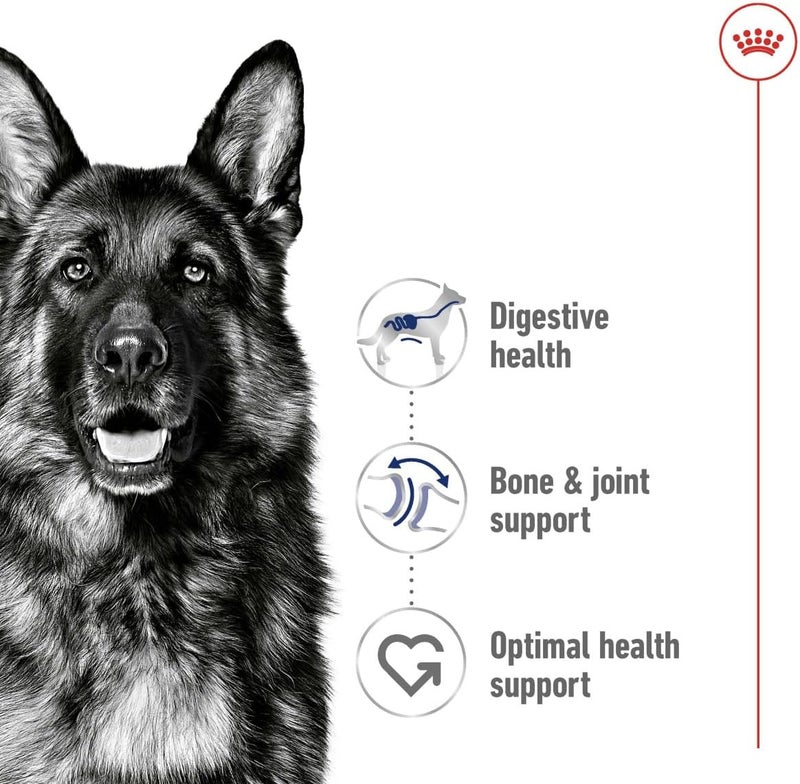 ROYAL CANIN طعام رويال كانين ماكسي للكلاب البالغة الرطب - Image 3