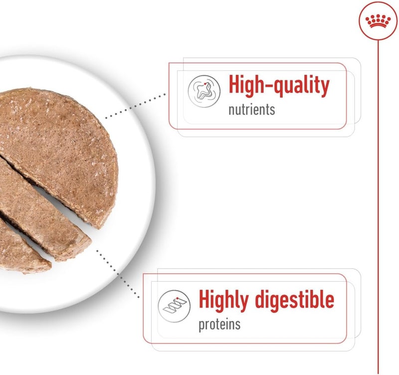 ROYAL CANIN طعام رويال كانين ماكسي للكلاب البالغة الرطب - Image 4