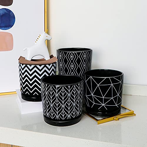 Ton Sin Flower Pots,5.5 Inch Black Ceramic Planter with Drainage Hole,Indoor Cylinder Plant Pots with Saucer,Cactus Succulent Outdoor Garden Pots Set of 4 - Image 5