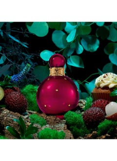 Britney Spears Fantasy Intense Eau De Parfum Intense Edpi Spray For Women 3.3 Fl Oz  - Image 5