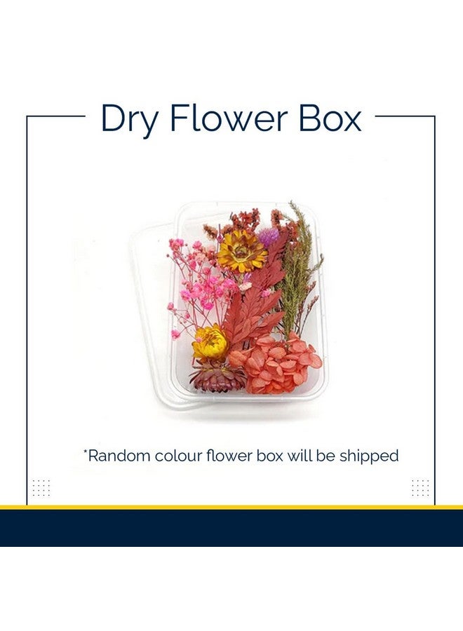 Epoxity Resin DIY Kit Photoframe Kit with Resin, Wooden Stand and Dry Flowers Rasin Liquid (Round Shape) - Image 5