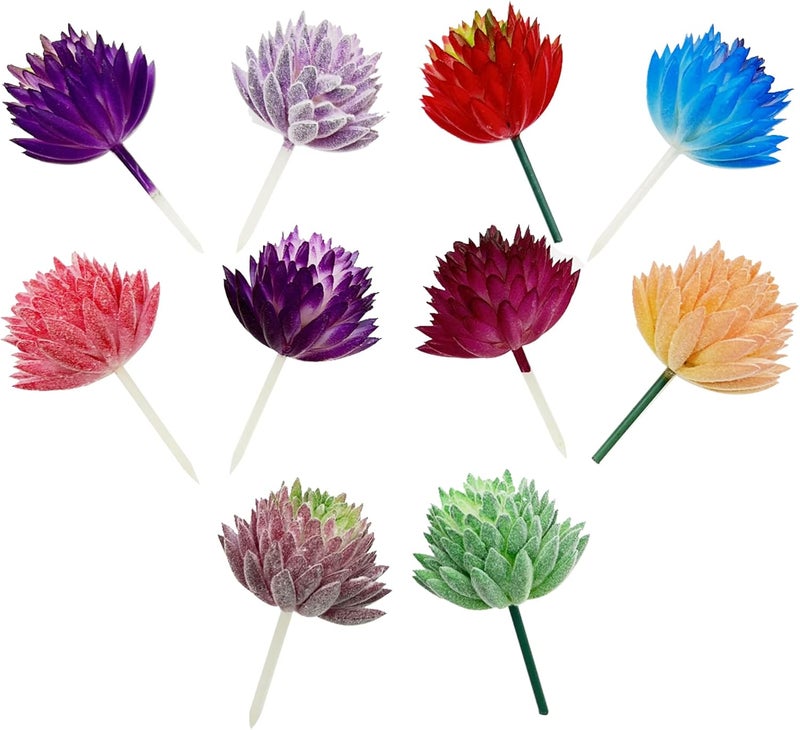 Cayway 10 PCS Artificial Succulent Plants, Mixed Color Artificial Succulents Picks for Indoor and Outdoor Home Decor Floral Arrangements - Image 5