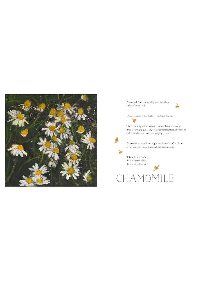 The Bee and the Sun: A Calendar of Paintings  - Image 2