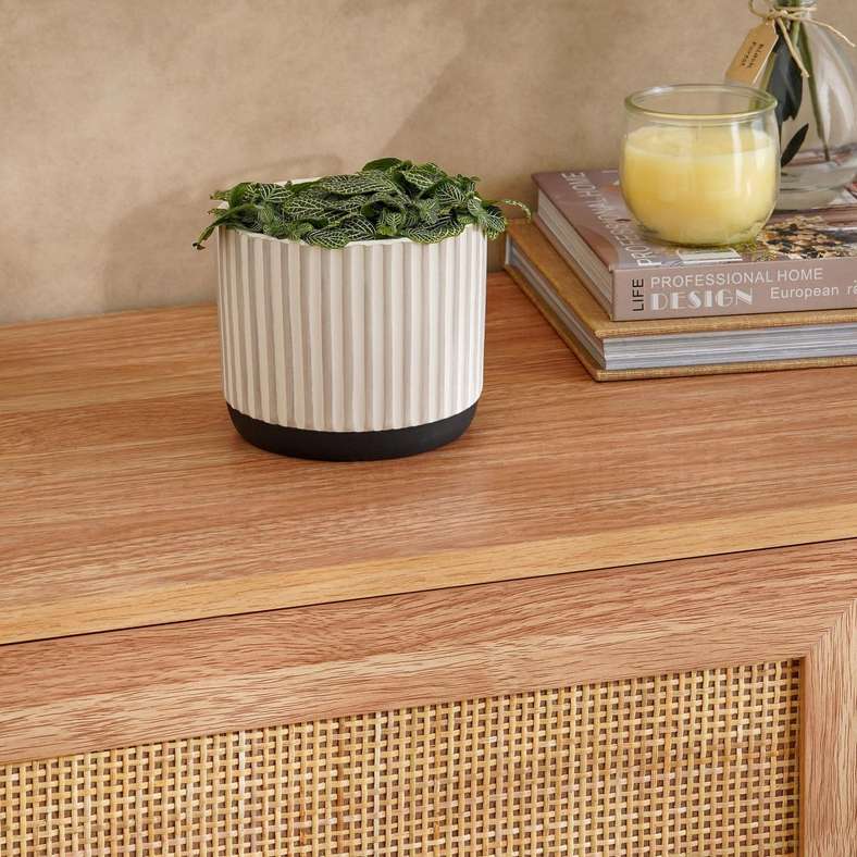 Pan Home Laura Terracotta Planter - White