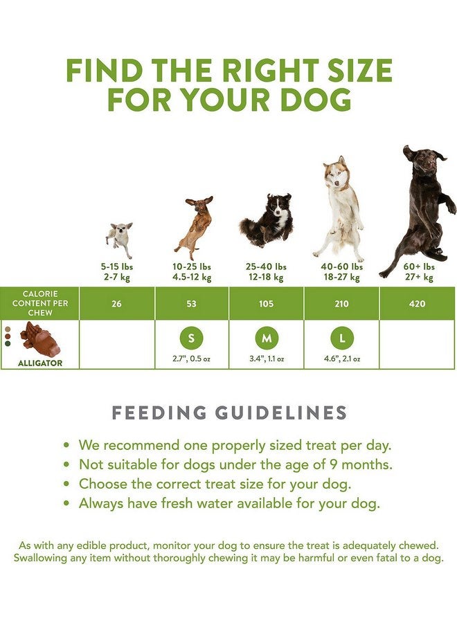 ويمزيس عبوة من 3 قطع من علكات الأسنان على شكل تمساح للكلاب من Whimzees، تحتوي كل منها على 24 قطعة - Image 2