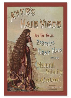 (Assembly frame) 1880s Vintage Advertisement Ayer's Hair Vigor for the Toilet Poster | Classic Advertising Art Print | For Gifts and Wall Art Décor