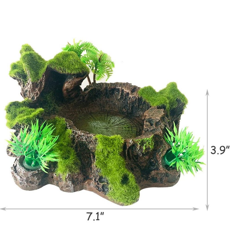 Hamiledyi Reptile Tank Decor Resin Reptile Platform with Artificial Plants Reptile Water Dish Food Bowl Reptile Feeding Dish for Lizard Small Turtle Gecko Water Frog Snake Amphibian Crawling Platform - Image 5