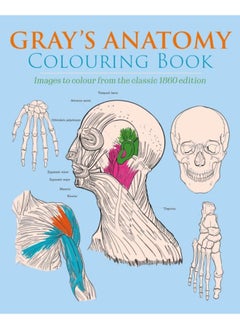 Gray's Anatomy Colouring Book : Images to Colour from the Classic 1860 Edition 