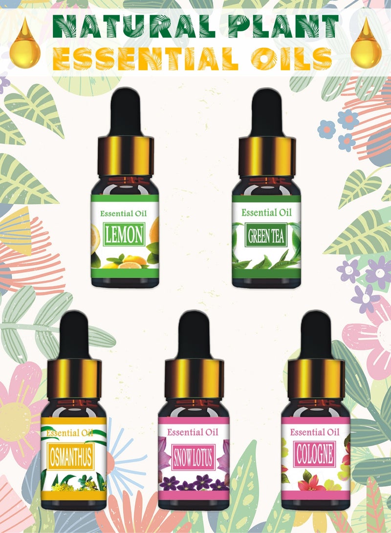 Essential Oils Set - Natural Plant Essential Oils - Suitable for Humidifiers and Aromatherapy Machines - 5 Pack, 10ml - Image 1