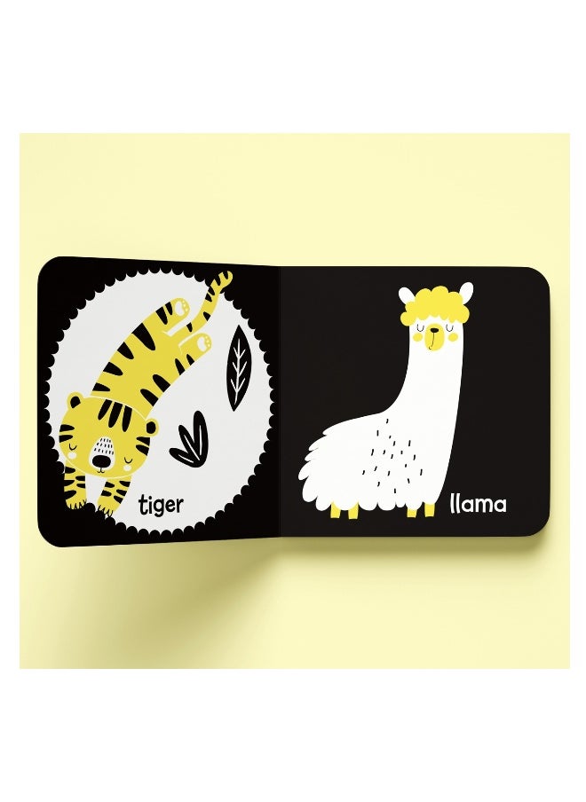 Hinkler Building Blocks High Contrast Neon Baby's First Animals Book (Hardcover)  - Image 2