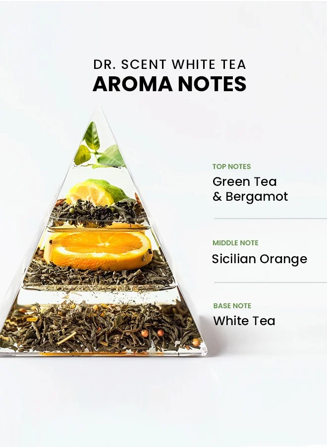 دكتور سينت Breeze of Joy, Diffuser Aroma Oil White Tea | Tranquil Blend of Green Tea, Bergamot, Sicilian Orange, and White Tea Notes for a Serene Ambiance 500ml