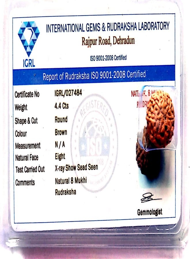 Devama The Divine™ Original lab Tested Nepal Origin 8 mukhi Lord Ganesha rudraksh Java Bead with authentication/Guarantee Card - Image 1