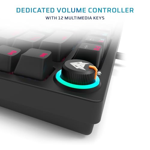 EvoFox Katana X2 TKL Mechanical Gaming Keyboard | 3‑Pin Replaceable Clicky Blue Switches, Dynamic Backlighting, All Keys Anti‑Ghosting, Volume Knob, Copilot, Xbox Gamebar, Screenshot & More (Black) - Image 4
