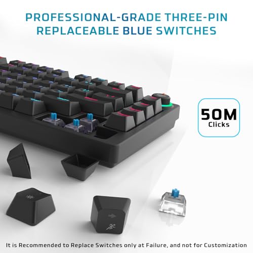 EvoFox Katana X2 TKL Mechanical Gaming Keyboard | 3‑Pin Replaceable Clicky Blue Switches, Dynamic Backlighting, All Keys Anti‑Ghosting, Volume Knob, Copilot, Xbox Gamebar, Screenshot & More (Black) - Image 2