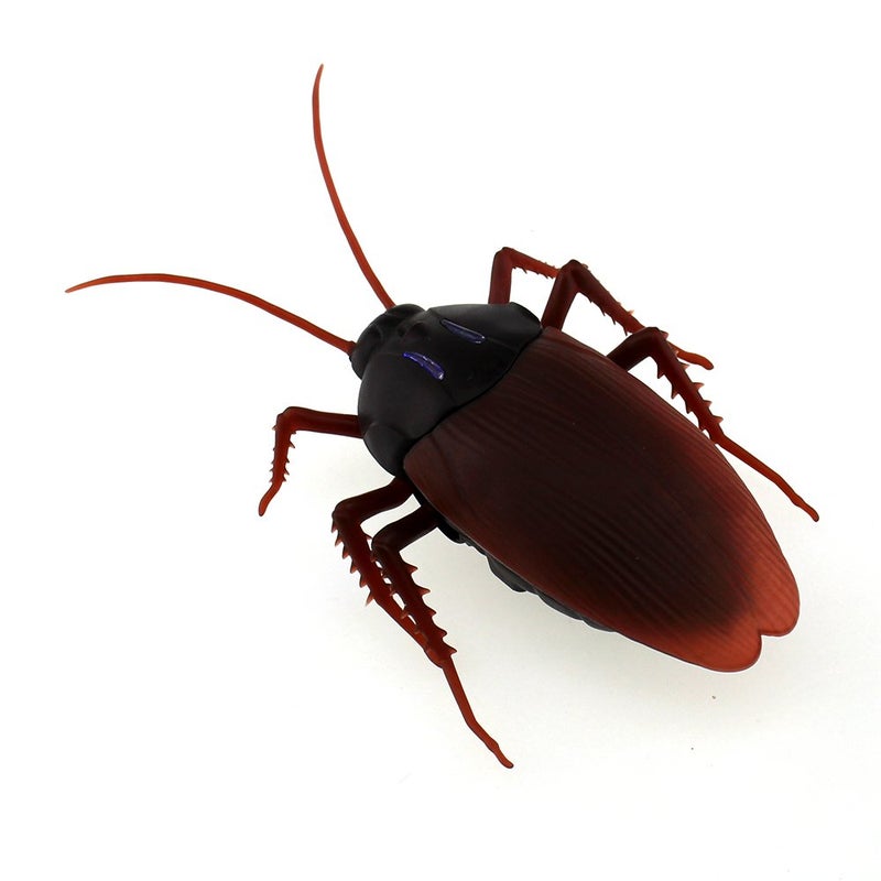 Tipmant سيارة تحكم عن بعد على شكل صرصور كهربائي للأطفال هدية - Image 2
