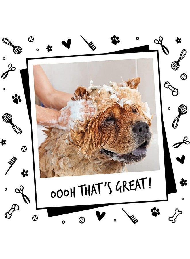 PET Oh My Dog Paraben Free Ultimate Pet Shampoo for Puppies & Cats -500ml-Cat & Puppy-Mild. - Image 2