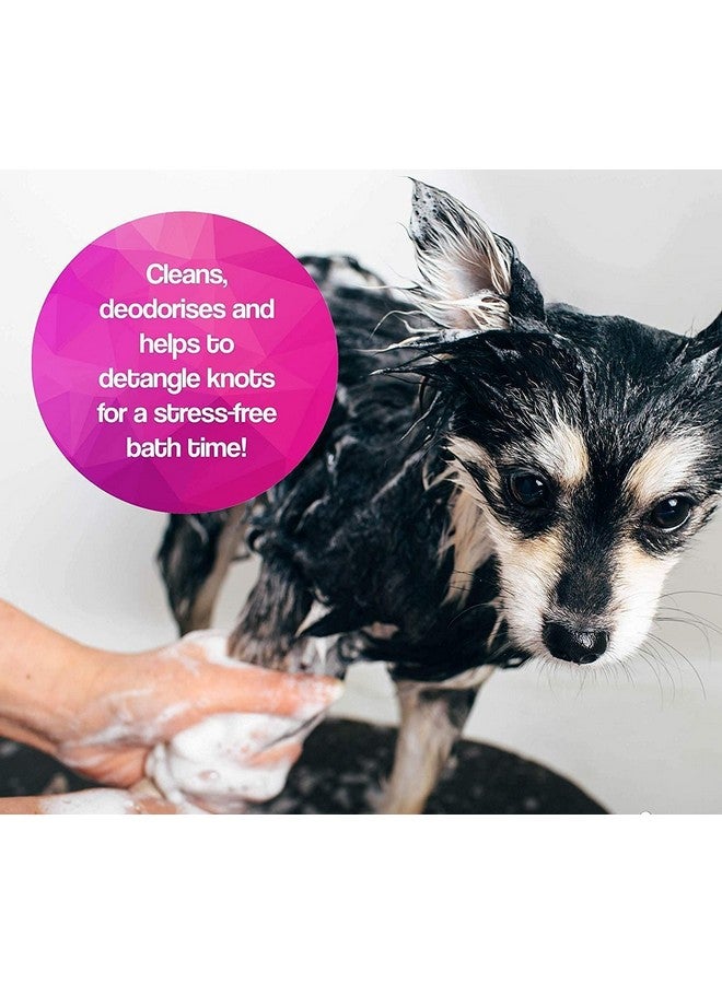 PET Oh My Dog Paraben Free Ultimate Pet Shampoo for Puppies & Cats -500ml-Cat & Puppy-Mild. - Image 3