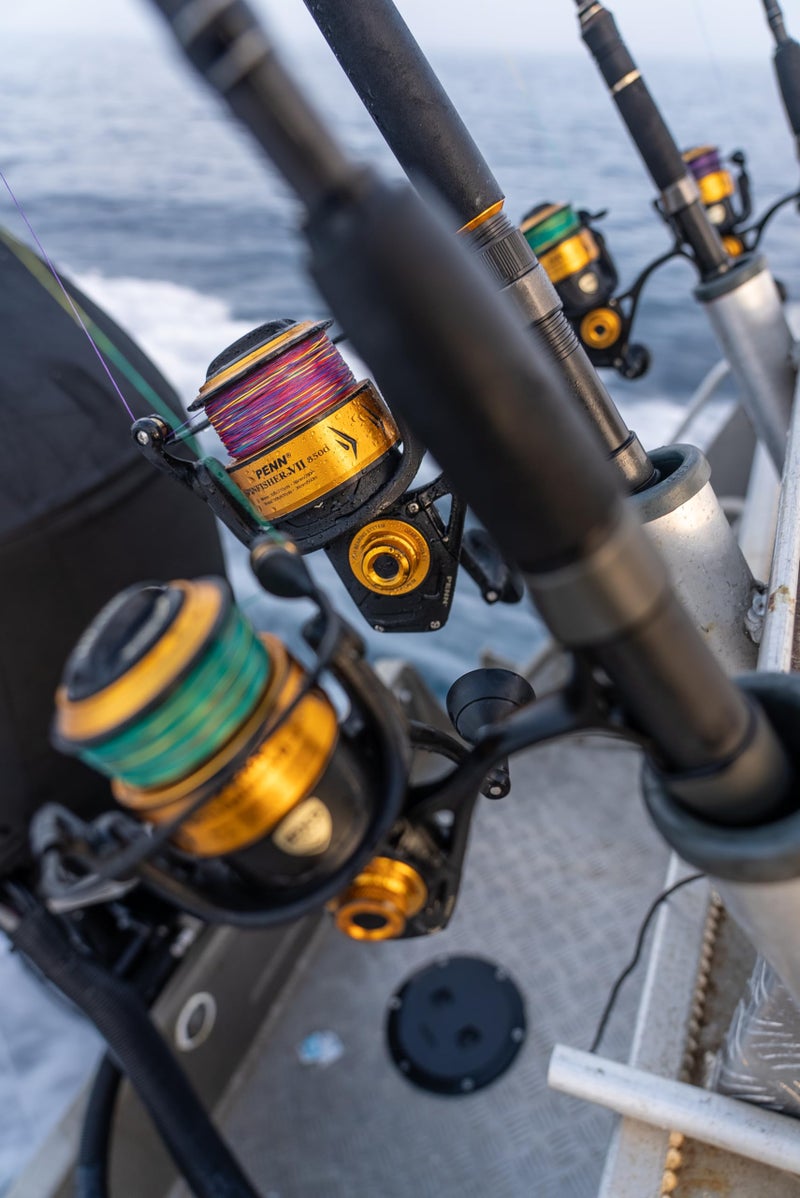 PENN Spinfisher VII 5500 Saltwater Spinning Reel, Right/Left Handle Position, IPX5 Seal, HT-100 Front Drag, Superline Spool, Precise CNC Gear Technology - Image 4