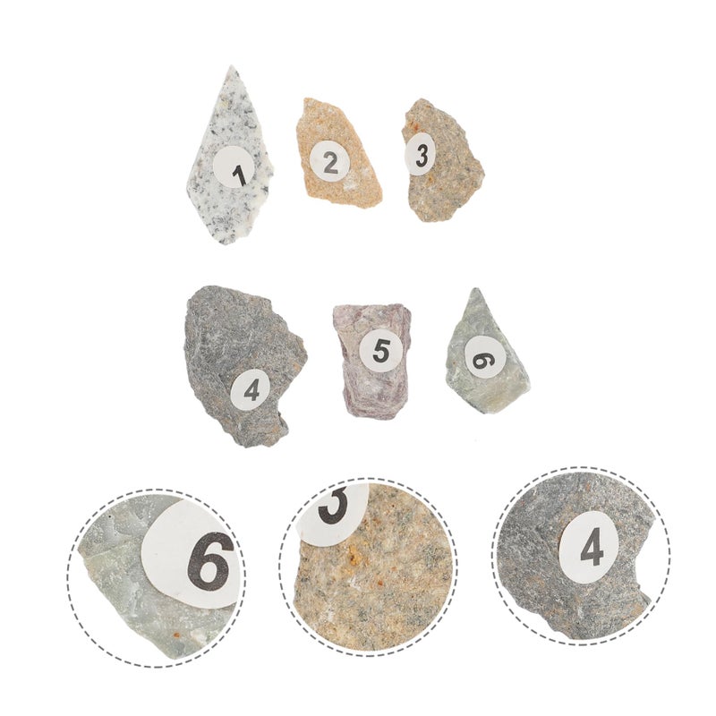 Educational Rock Specimen Kit Natural Stones Geology Teaching Tool for Kids - Image 5