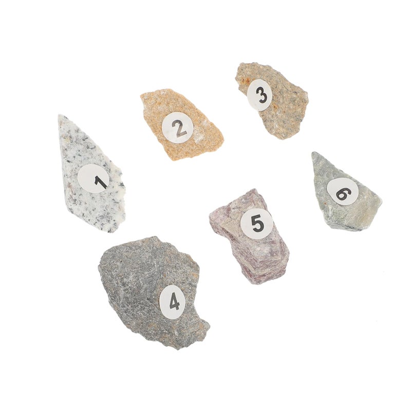 Educational Rock Specimen Kit Natural Stones Geology Teaching Tool for Kids - Image 2