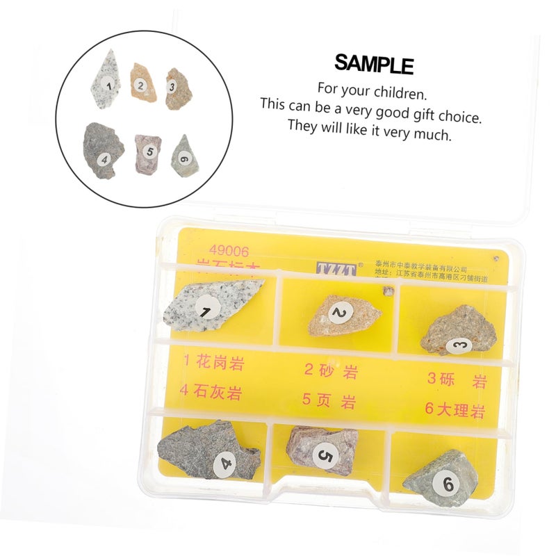 Educational Rock Specimen Kit Natural Stones Geology Teaching Tool for Kids - Image 4
