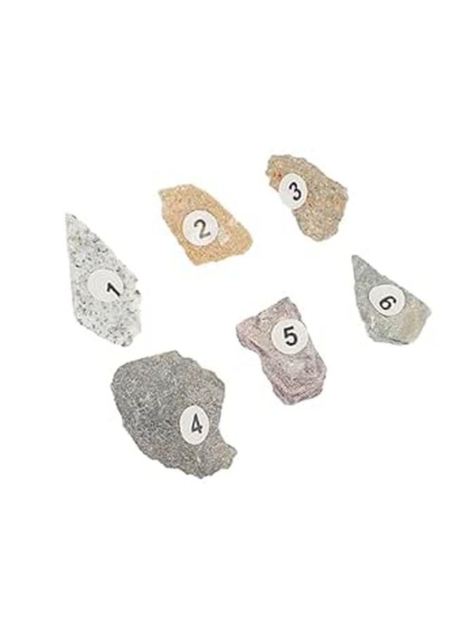 Educational Rock Specimen Kit Natural Stones Geology Teaching Tool for Kids - Image 1
