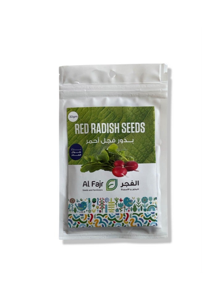 جرو الفجر بذور الفجل الاحمر  - Image 1