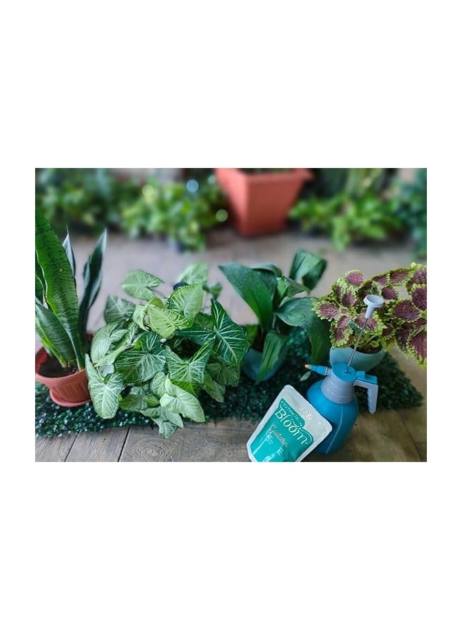 Garden Hub Indoor Plant Lovers Collection - Image 3