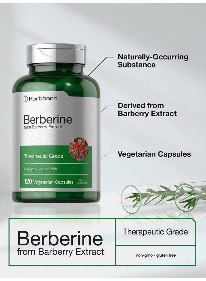 Horbäach Horbaach Berberine 500mg Supplement | 120 Capsules | Berberine HCl from Barberry Extract | Non-GMO, Gluten Free - Image 3