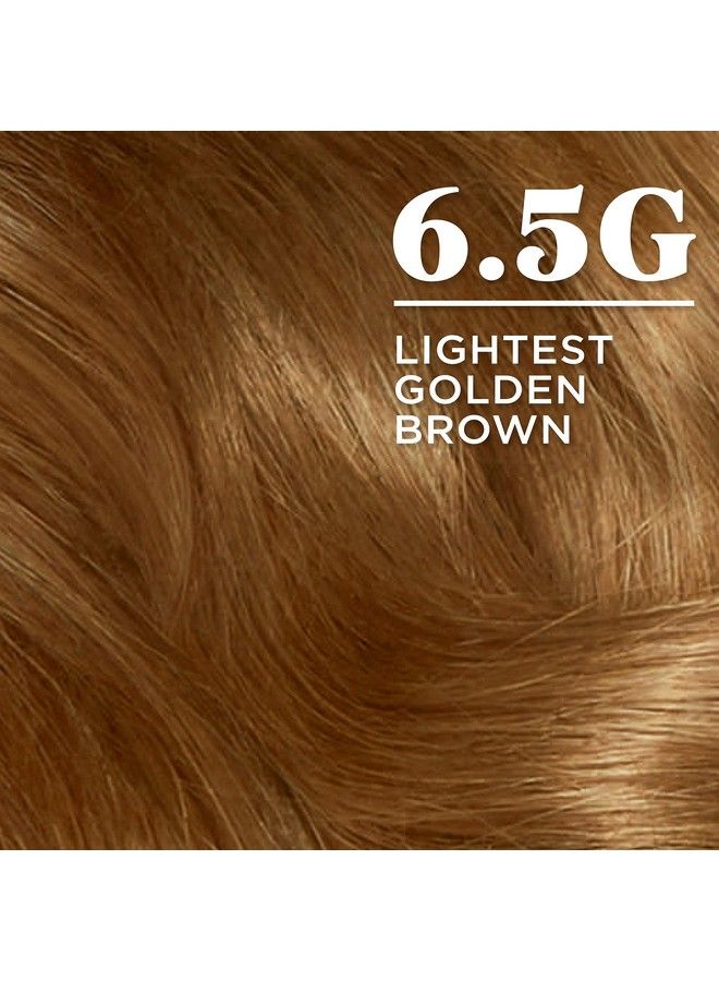 CLAIROL Nice Easy Permanent Hair Dye 6.5G Lightest Golden Brown Hair Color Pack Of 3 - Image 4