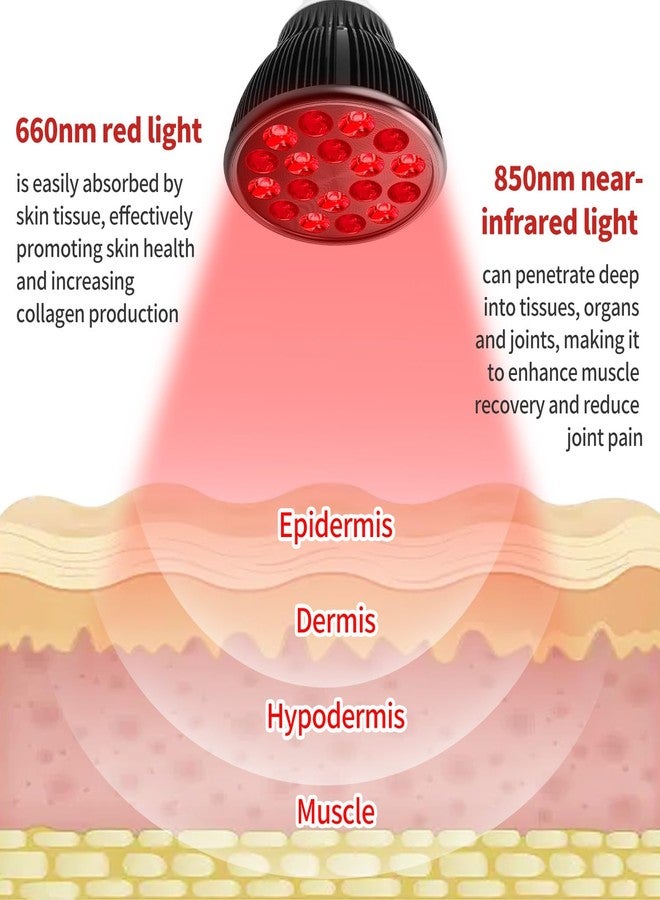 Aumtrly Red Light Therapy Bulb, Red Light Therapy for Body and Face Use, 18 LEDs 660nm Red and 850nm Near Infrared Red Light Therapy Lamp Suitable E26 Socket (Only Bulb) - Image 2