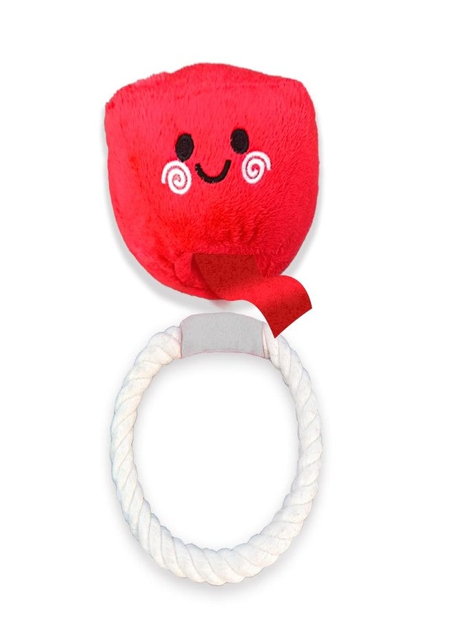 Mutt of Course Dog Toy Plush Squeaky Toy for Dogs | Wedding Ring Design | Soft Chew & Tug Toy for Puppies & Small Dogs - Image 2