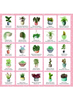 Plant Bingo  - Image 2