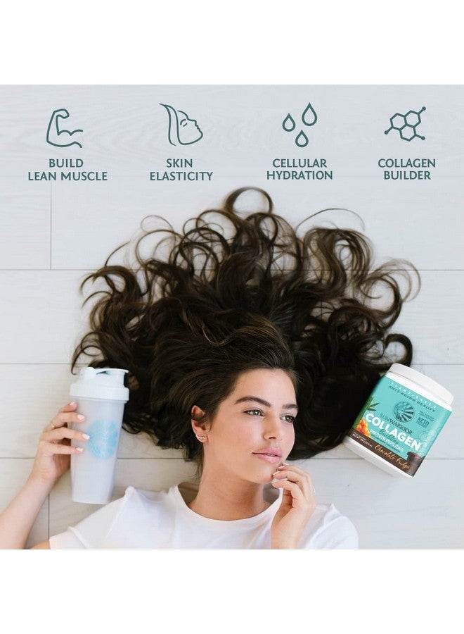 Sunwarrior Vegan Collagen Building Powder Protein Peptide with Biotin Vitamin C Hyaluronic Acid for Hair Skin Nail Dairy Free Gluten Free | Chocolate - Image 4
