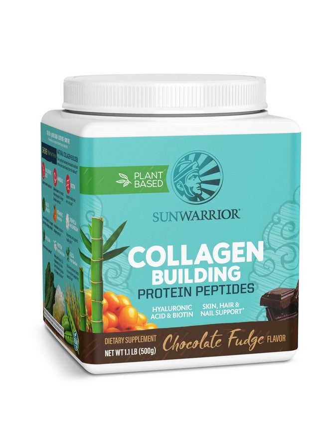 Sunwarrior Vegan Collagen Building Powder Protein Peptide with Biotin Vitamin C Hyaluronic Acid for Hair Skin Nail Dairy Free Gluten Free | Chocolate - Image 1