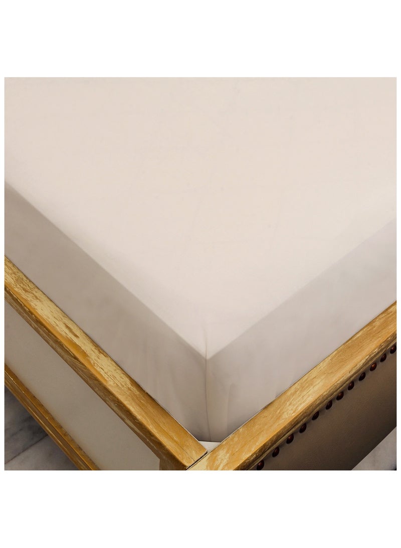 Home-Tex Design 3 Piece Hometex Design 100 % Cotton King size printed flat sheet set IVOIRE - 1 Flat Sheet (240x260 cm) + 2 Pillow Covers (50x80 cm)  - Image 5