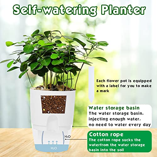 Haawooky 10 Pack Clear Self Watering Planters,4.1Inch Wicking Flower Pots,Plastic African Violet Pots with Watering Bottle Modern Decorative Planter for House Plants,Herbs,Indoor Plants - Image 3
