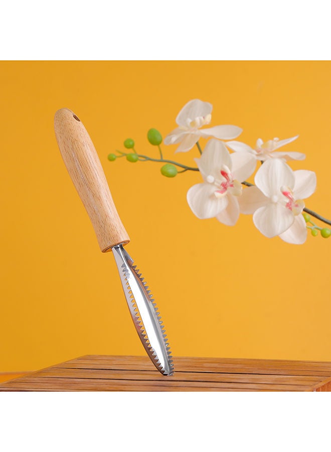 DELCASA Delcasa Fish Scale Scraper With Wooden Handle DC2782 - Image 5