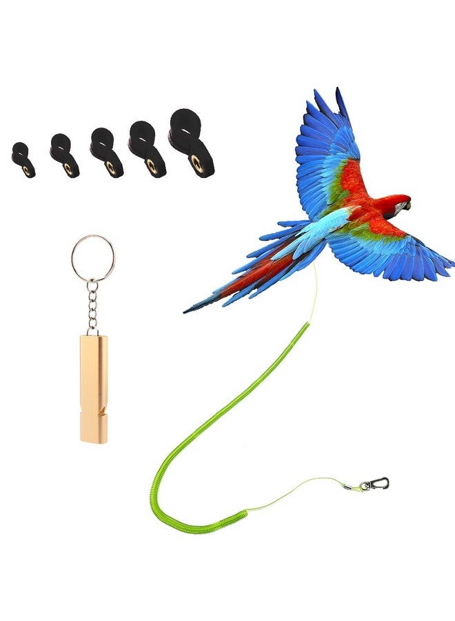 kcrygogo Parrot Bird Harness Leash Anti-bite Outdoor Flying Training Rope with 5pcs Different Sizes of Soft Foot Loops and Training Whistle(Upgraded Version of Ankle Ring) - Image 1