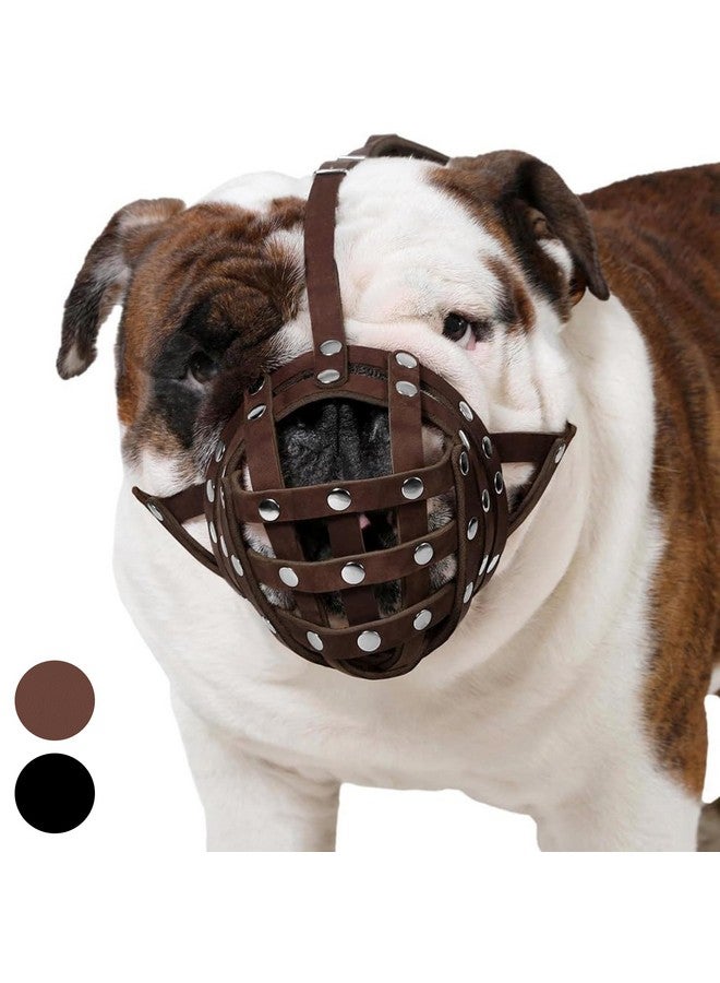 CollarDirect Leather Basket Dog Muzzle for Boxer, English American Bulldog Secure Anti-Barking Biting Chewing Adjustable Breathable (Brown) - Image 1