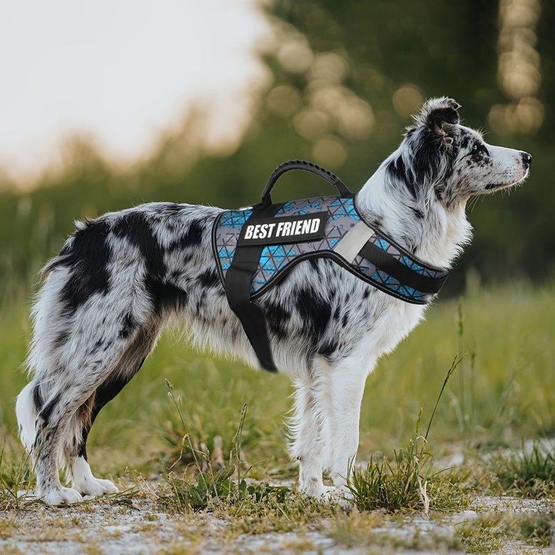Black Service Dog Patches 2 Pack Hook And Loop Harness for Training - Image 5