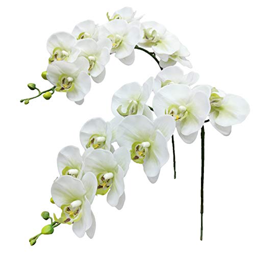 Fnize Faux Orchid Stems Real Touch Artificial Phalaenopsis Flowers Latex Petals 38 Inches 2pcs (Green White) - Image 1