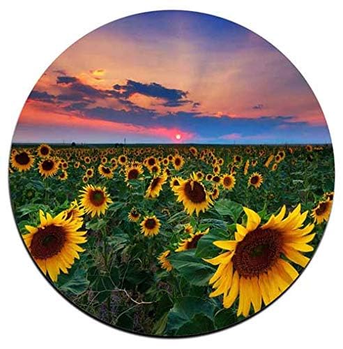 QJ CMJ Sunflower Round Coaster Set - Made of Recycled Rubber - Set of 4 - Image 4