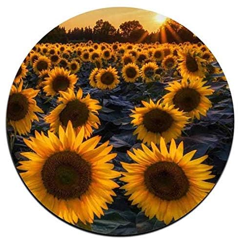 QJ CMJ Sunflower Round Coaster Set - Made of Recycled Rubber - Set of 4 - Image 3