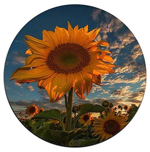 QJ CMJ Sunflower Round Coaster Set - Made of Recycled Rubber - Set of 4 - Image 5