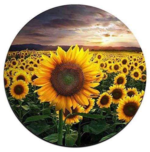 QJ CMJ Sunflower Round Coaster Set - Made of Recycled Rubber - Set of 4 - Image 2