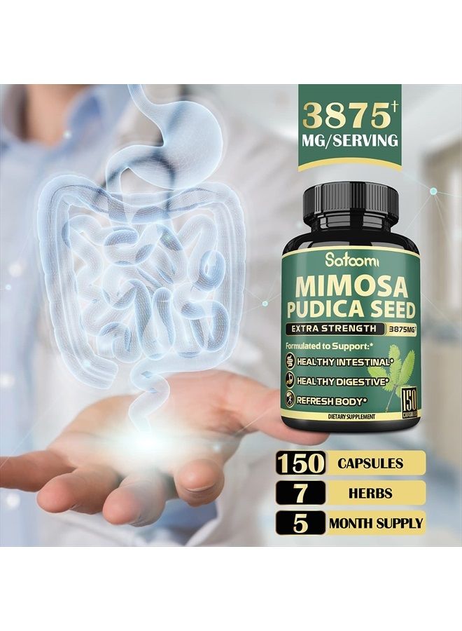 Satoomi كبسولات مستخلص بذور ميموزا بوديكا النقية - تعادل 3875 ملغ - إمداد لمدة 5 أشهر - 6 مكونات أساسية إضافية - دعم الهضم الصحي، المناعة والجسم - 150 كبسولة نباتية - Image 3